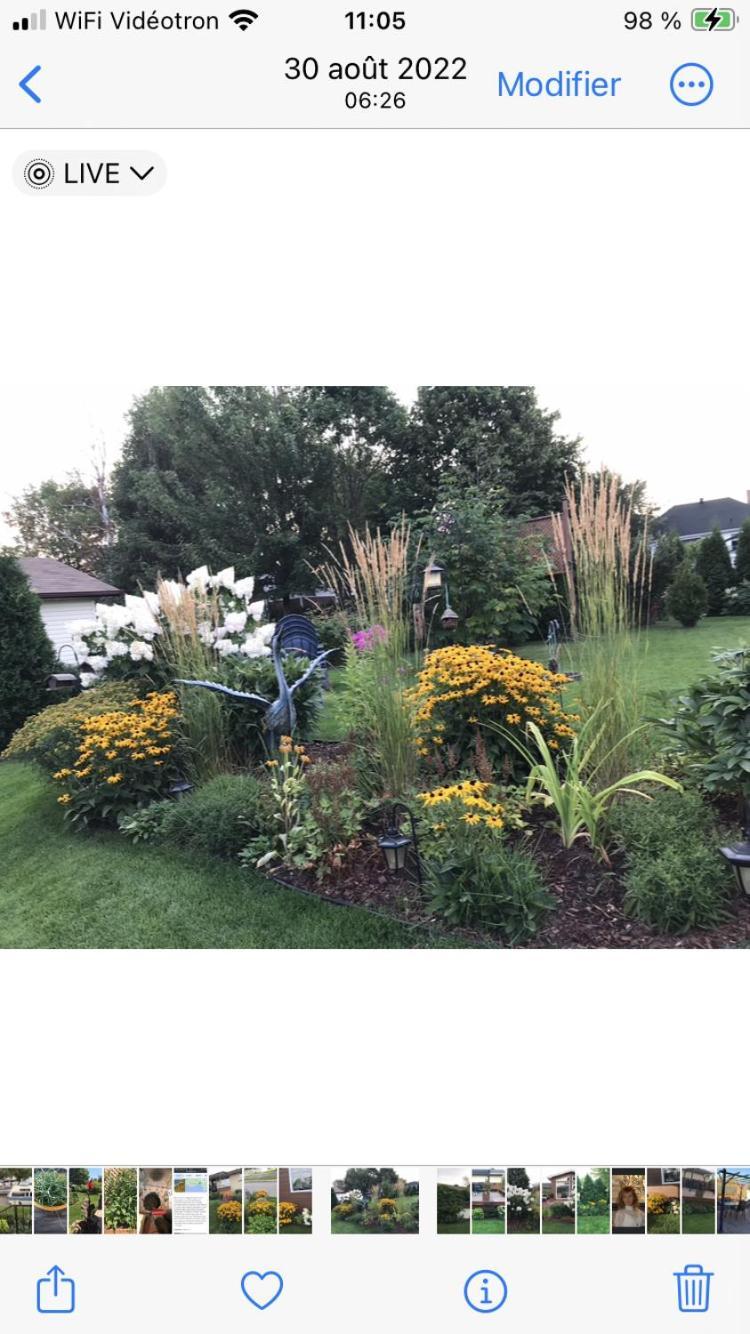 דירות Chicoutimi Oasis De La Riviere מראה חיצוני תמונה